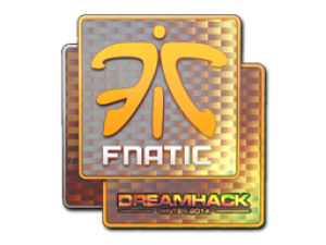 Наклейка|Fnatic(голографическая)|DreamHack2014